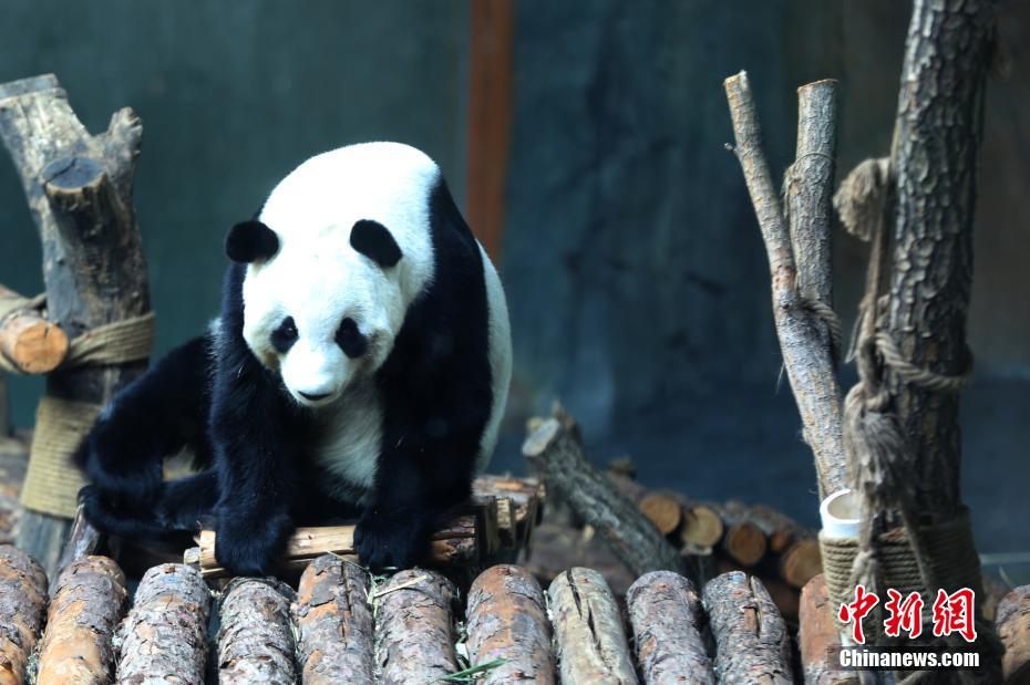 辣文小说