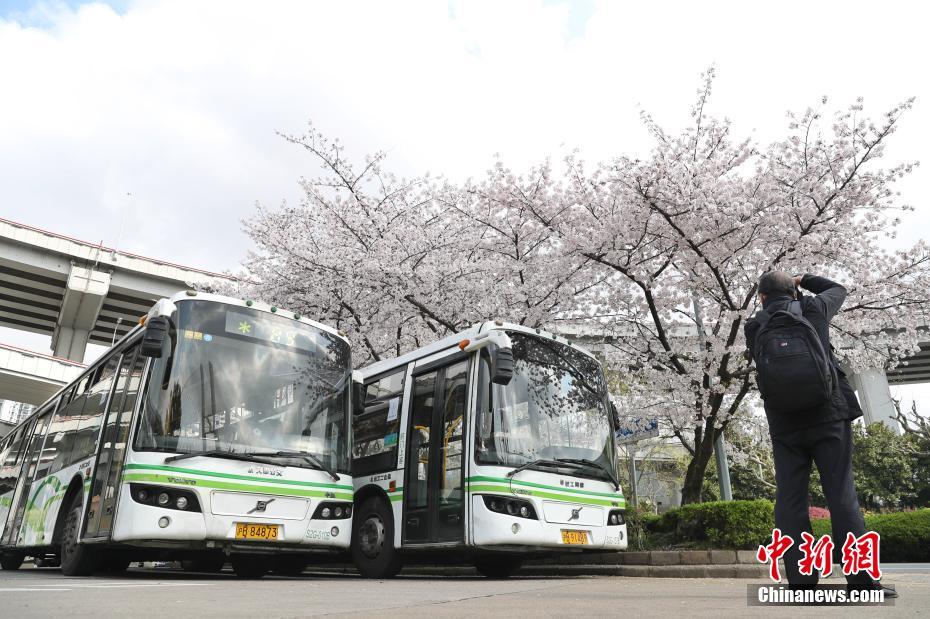 欧美性爱法国多毛贵妇性饥渴Hd