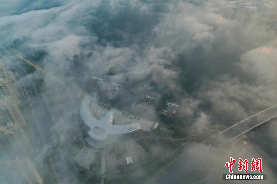 国产黄色视频网扯