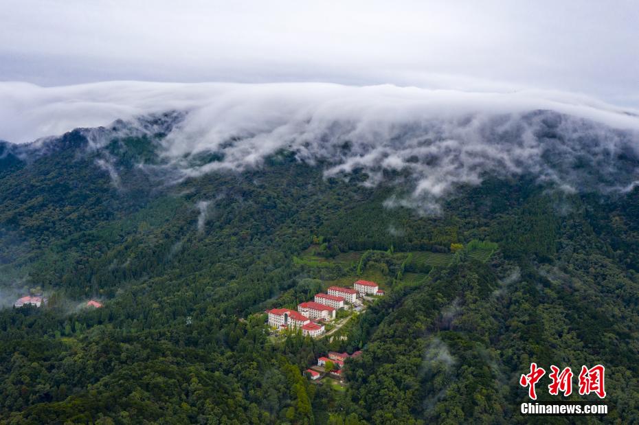 永久在线免费黄色网站