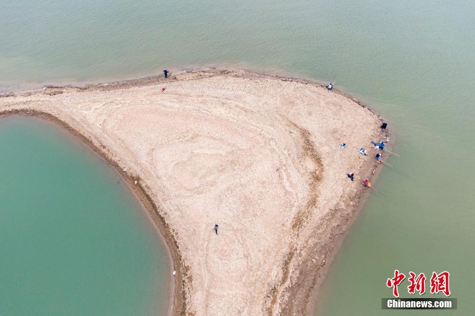 海绵宝宝