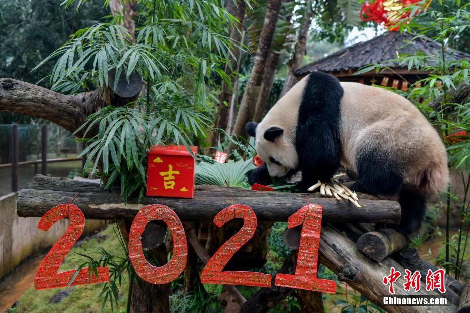 免费 色情 在线