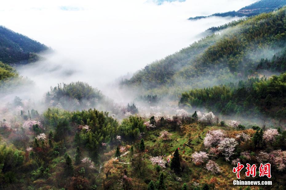 三浦惠三级片