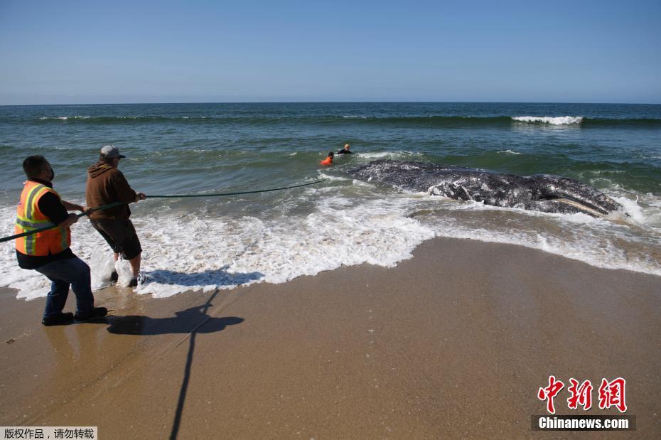 近两战罚球数73比35！曼恩：对此无能为力 不想说太多怕惹麻烦