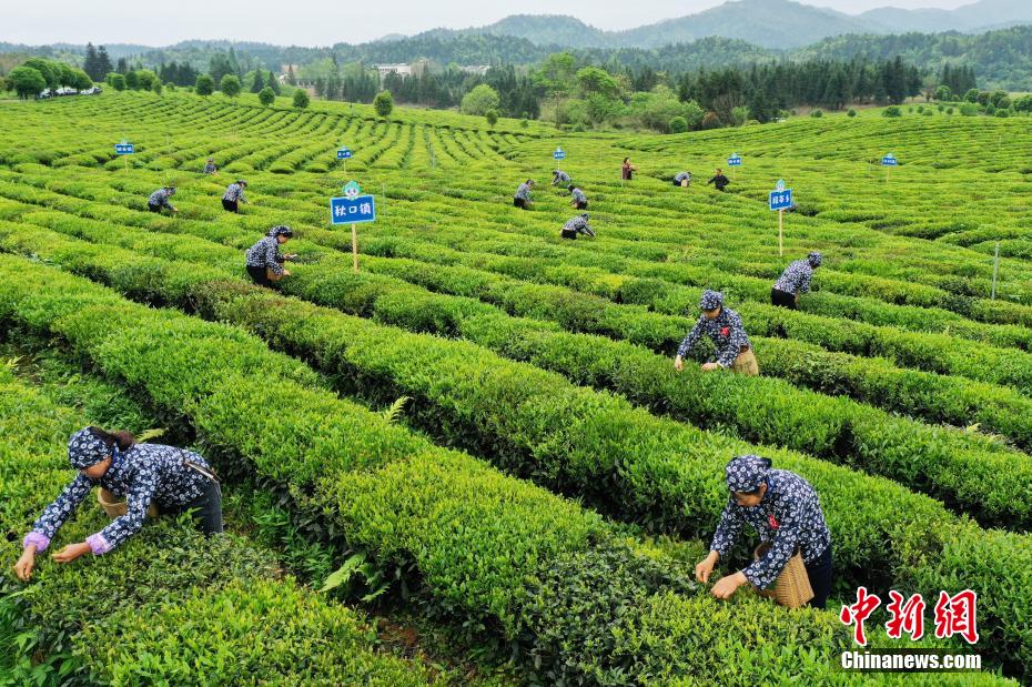 足球報：36歲於漢超每晚10點睡覺，早8點還給自己安排晨練跑圈