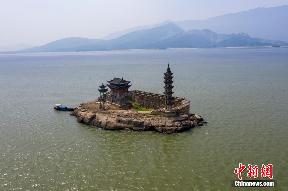 爱情网aqdy改成什么了
