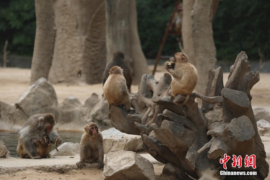 太大太粗太猛太深太爽了女友