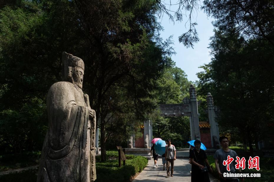欧美疯狂抽插