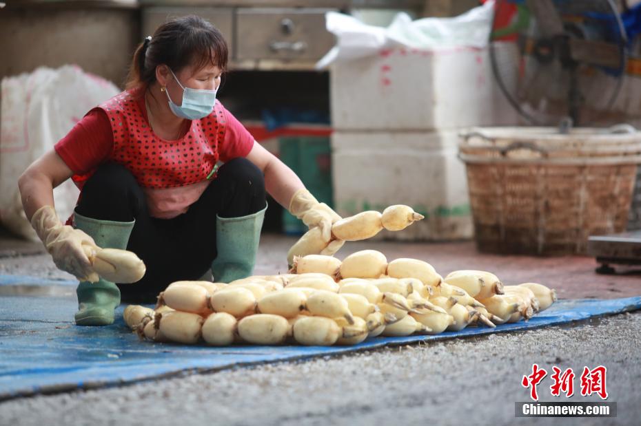 成人 性爱 视频