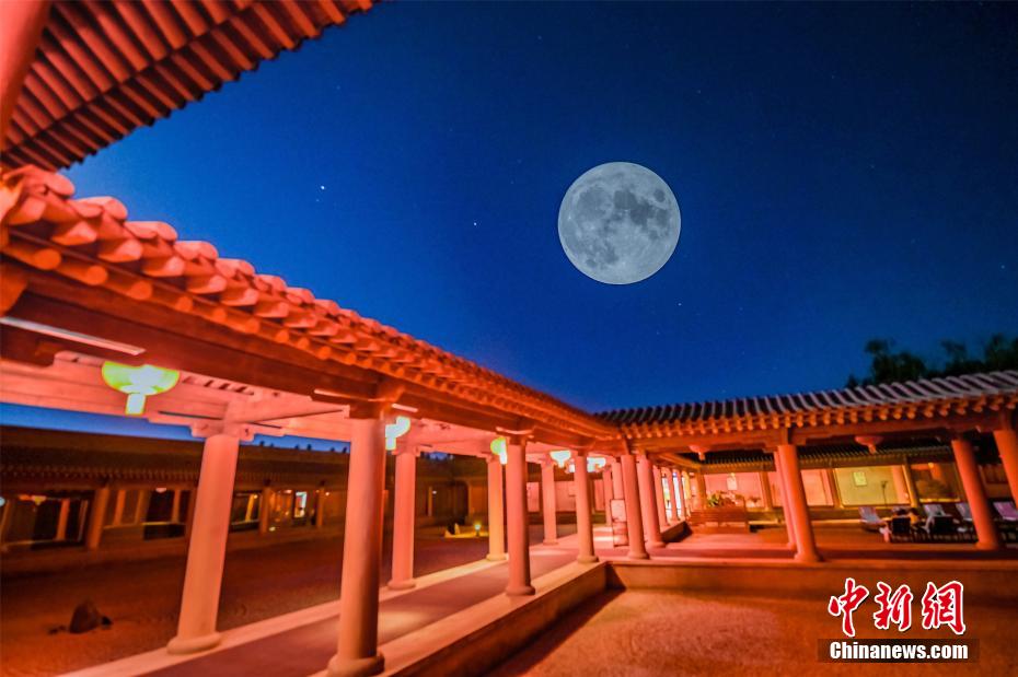 老师自慰战像素SLG游戏