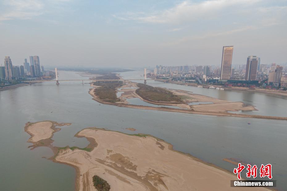 中国一级特黄大片的影响