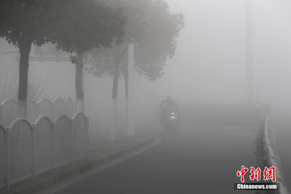 日韩欧美三区