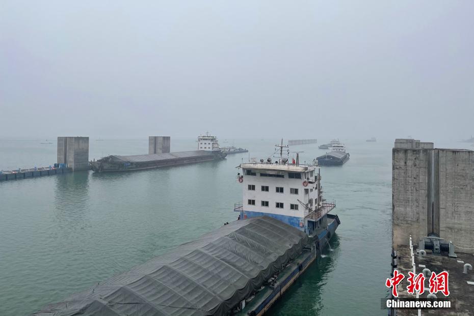 欧美性爰黑人大吊颜
