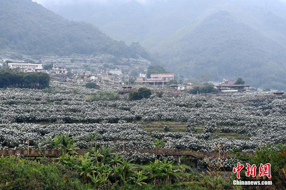 国产4级丰满龚玥菲