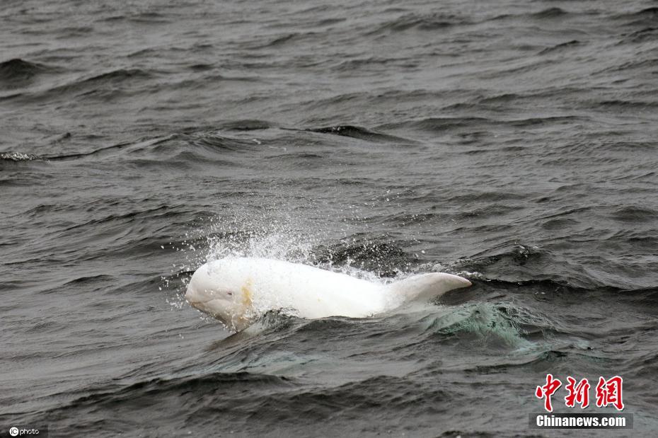 星空无限传媒官网