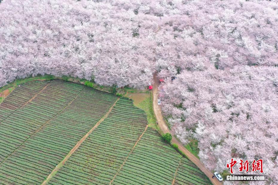 李麗珍全裸寫真集