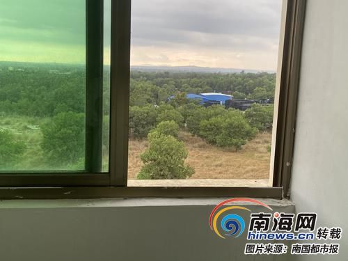 女同性互摸