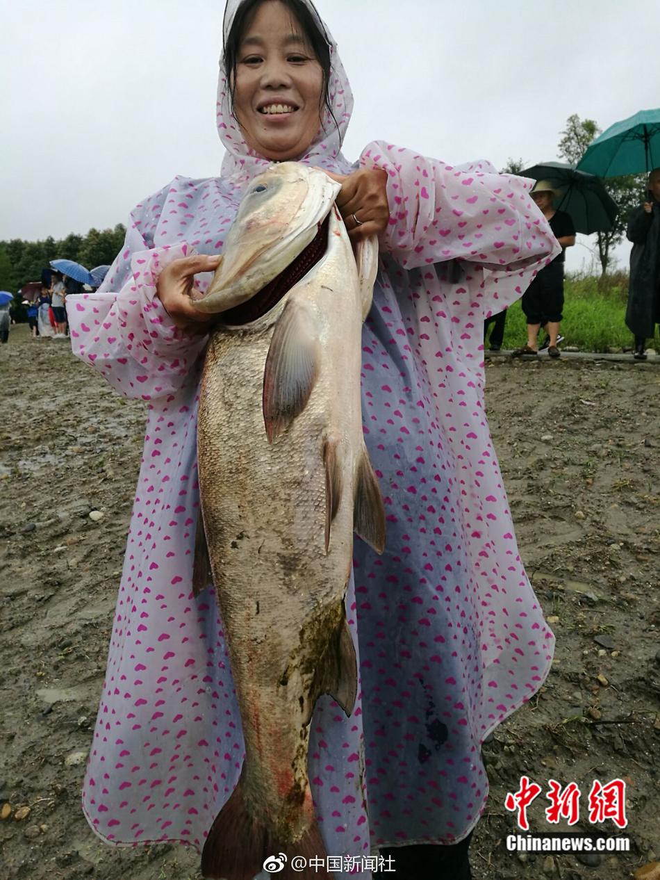国产一级二级三级