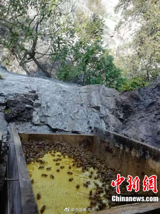 91精品国产91久久久久久吃奶