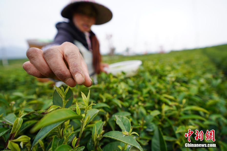 10000个有效实名认证游戏推荐