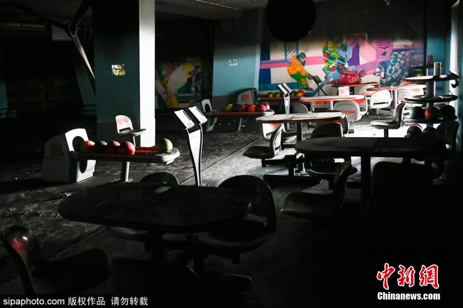 亚洲最大黄色网站免费看
