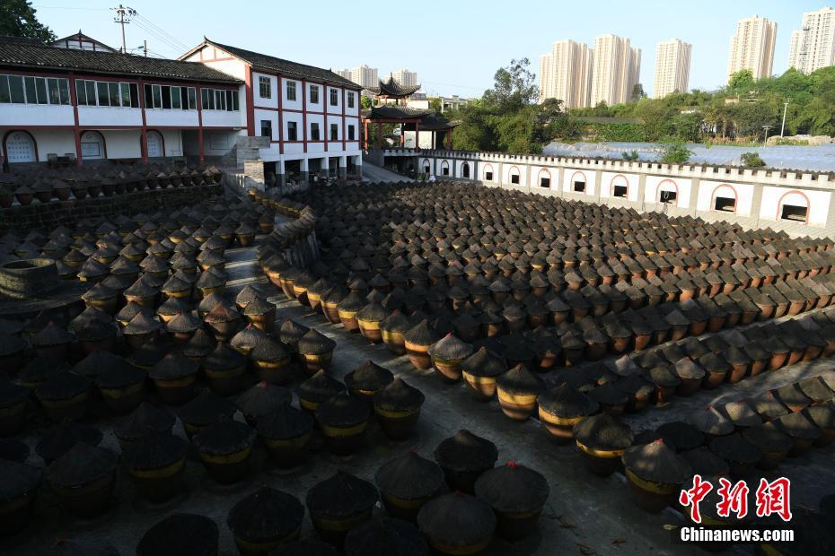 动漫一区