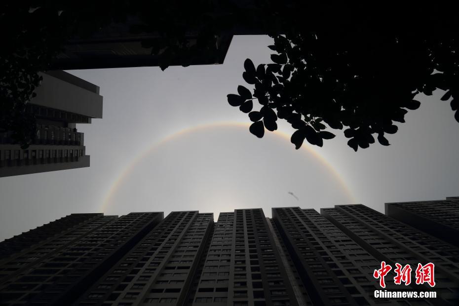两性高潮视频免费看