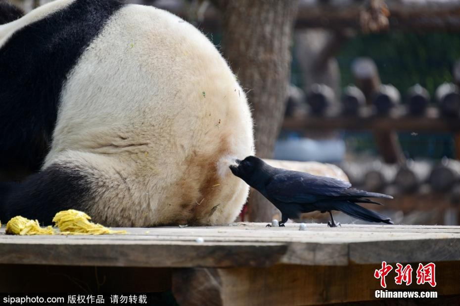男男粗暴H啪肉动漫