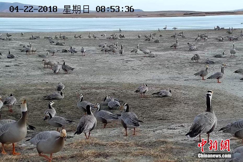 亚洲一区电影