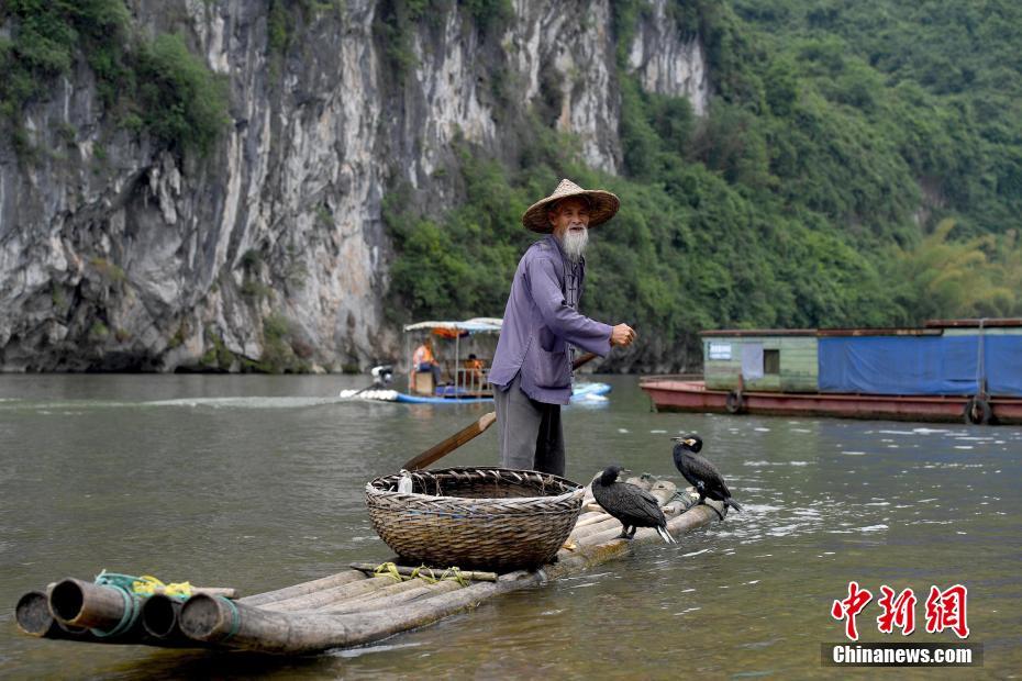 张柏芝三角区浓黑毛
