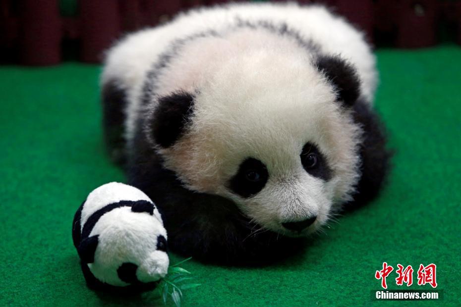 俄罗斯少妇性高清Ⅹxx
