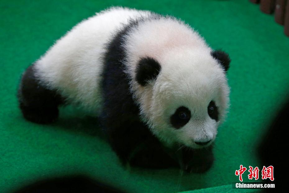 无码人妻一区二区三区线肥胖