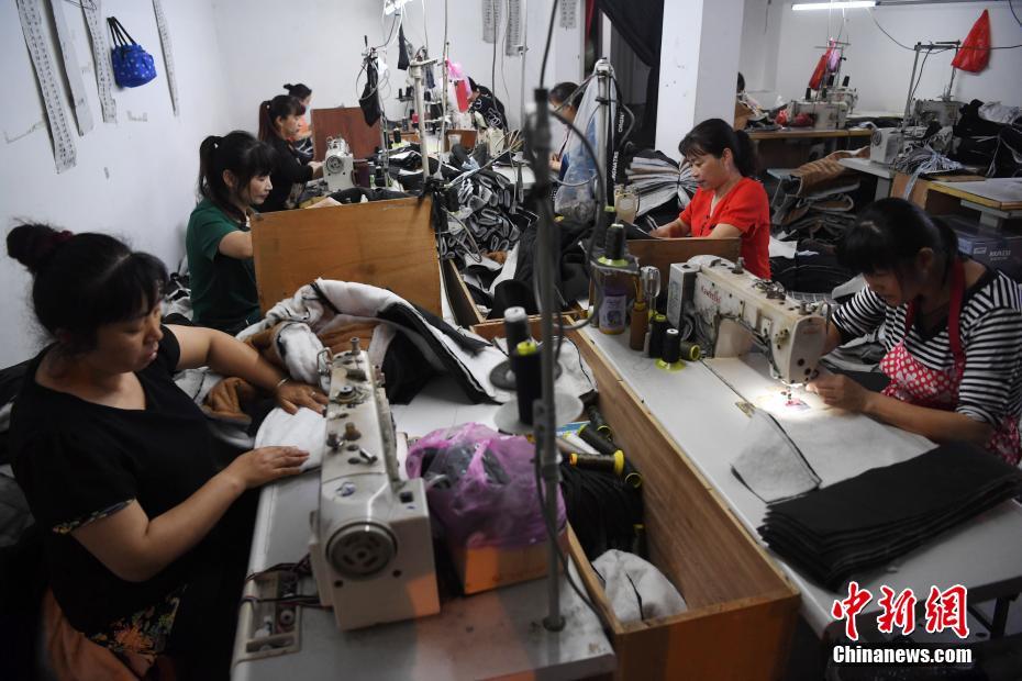 荷兰世姓交大比赛视频