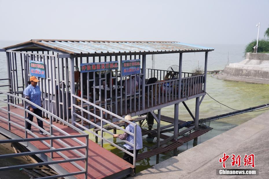 黑人巨屌