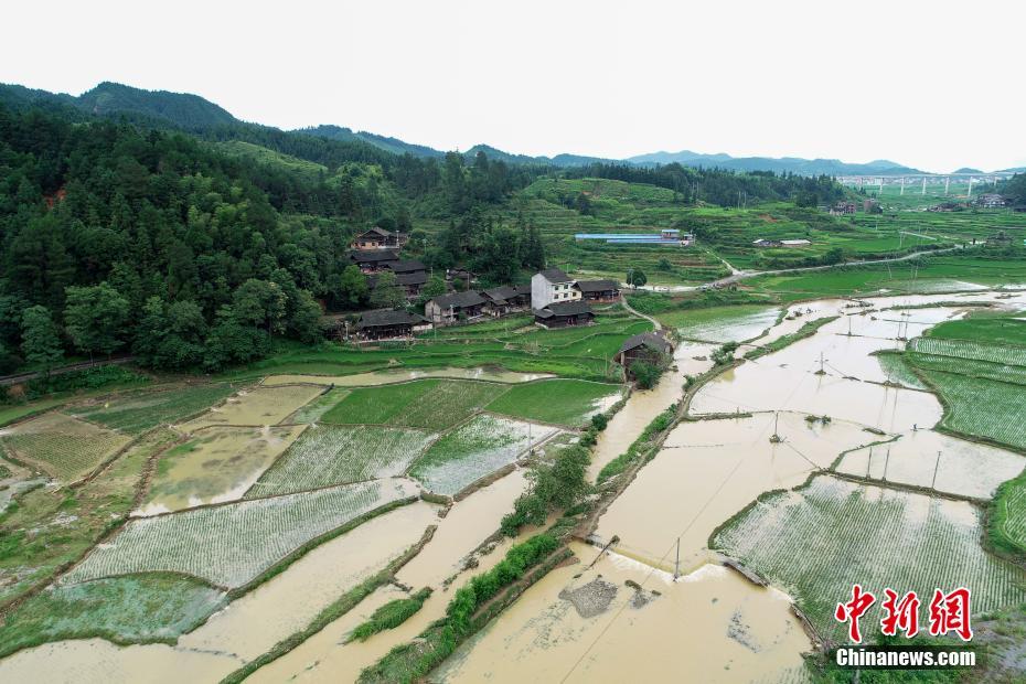 高清无码毛片二区