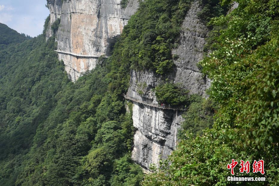 電愛側錄