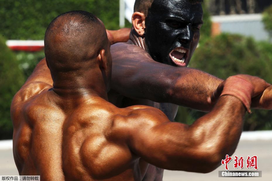 明肇森：在喧囂時代，尋回靈魂的清晨與森林 