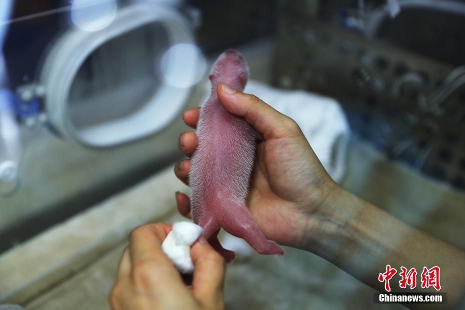 毛片黄色