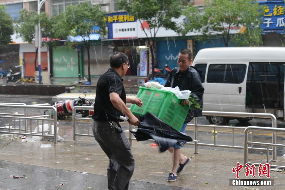 无需付费看美女直播的软件