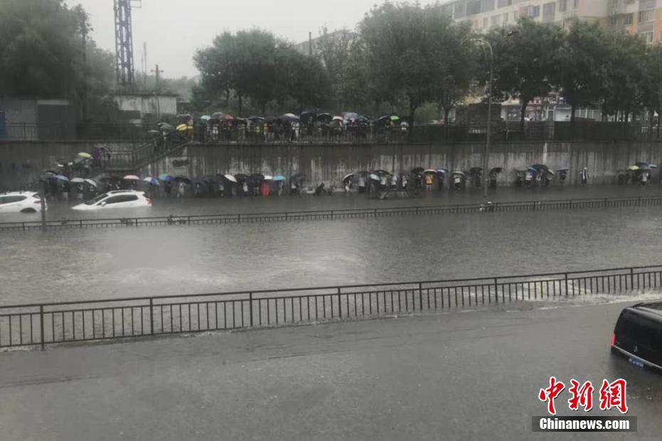把我的黄色网站给我找回来