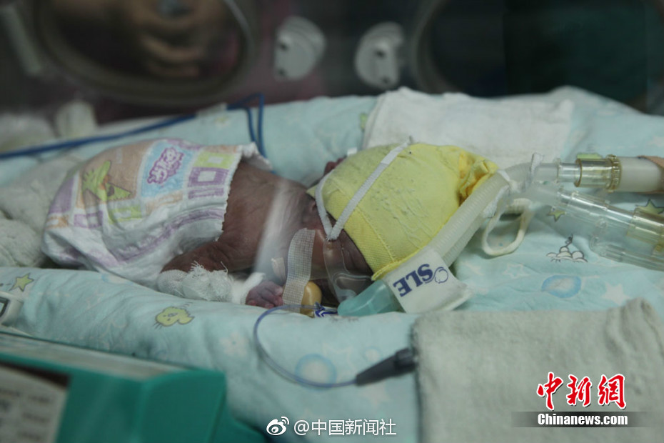 偷拍某旱厕坑近离高清