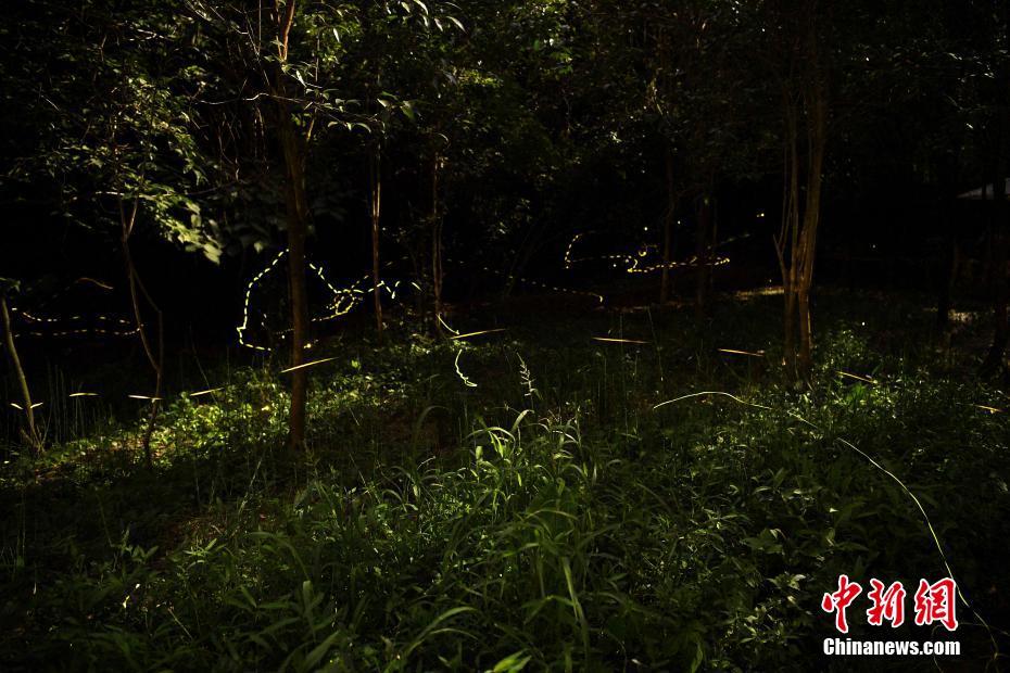 张筱雨《魅惑》40张