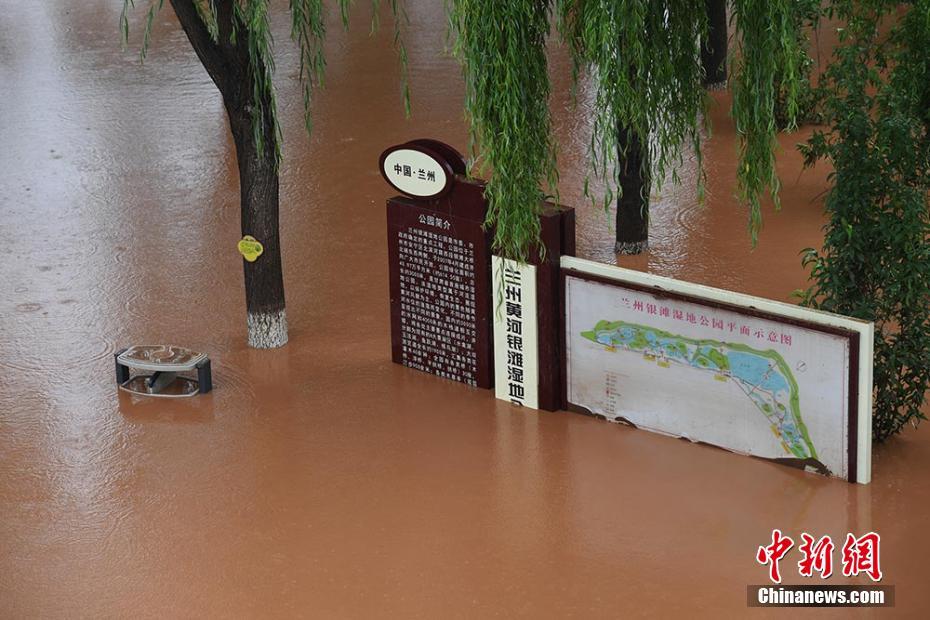杨钰莹被弄到高潮时