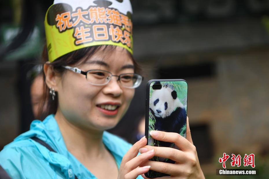 老太色HD老年人HD