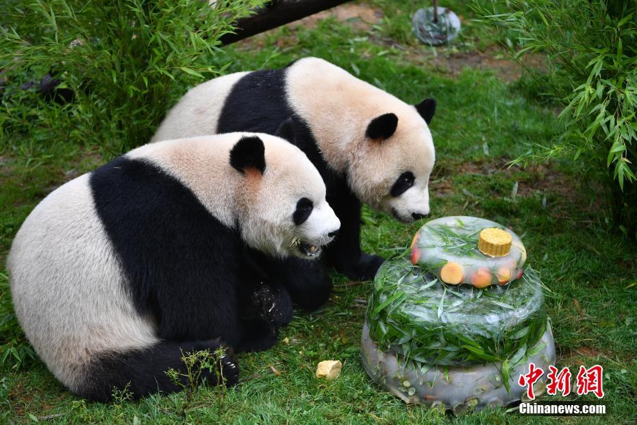 三浦惠理子中文