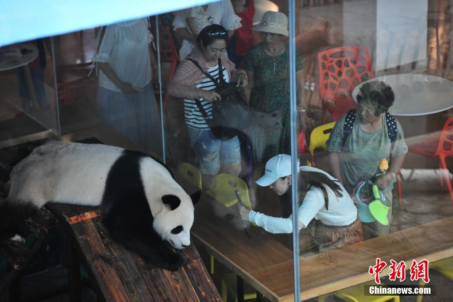 无码毛片免费黄色网站