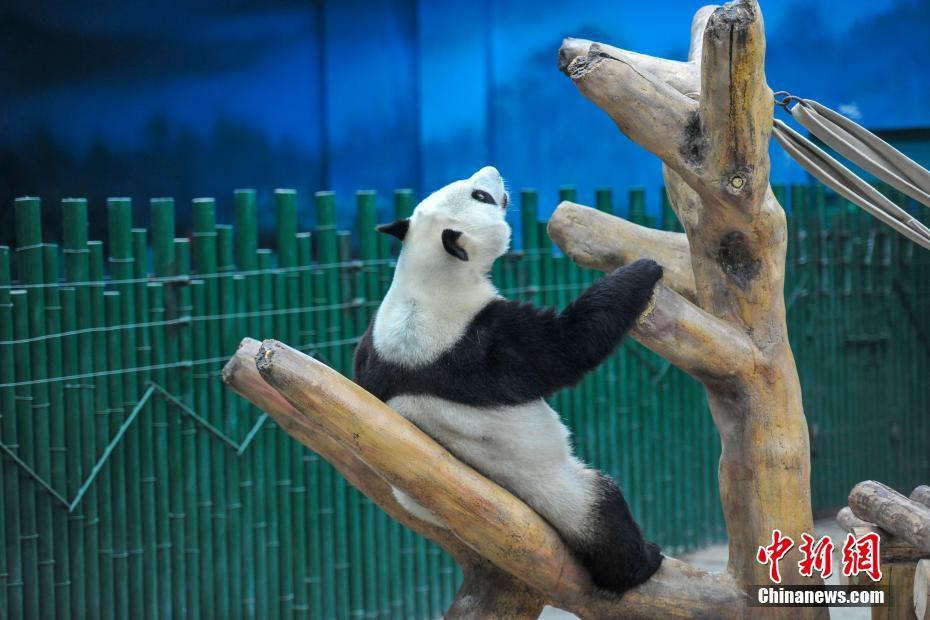啊 用力 嗯 轻一点虞书欣