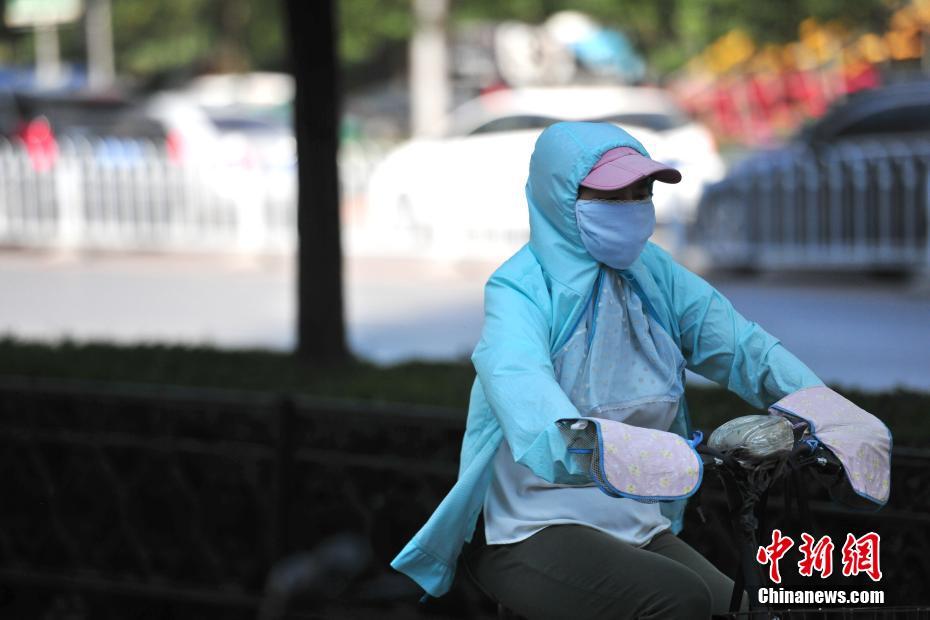 那里可下载免费黄色视频
