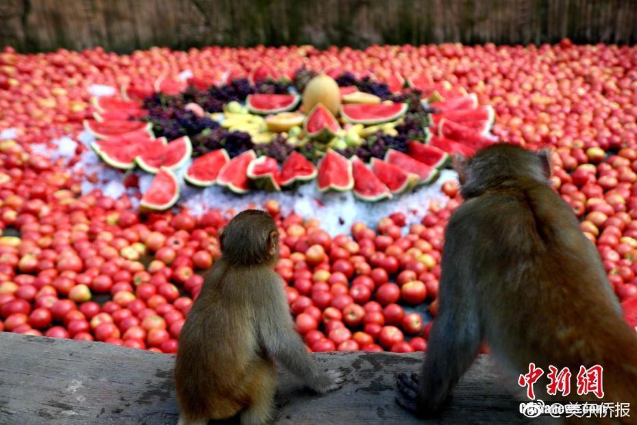 白丝可莉 扒腿爽出白色液体