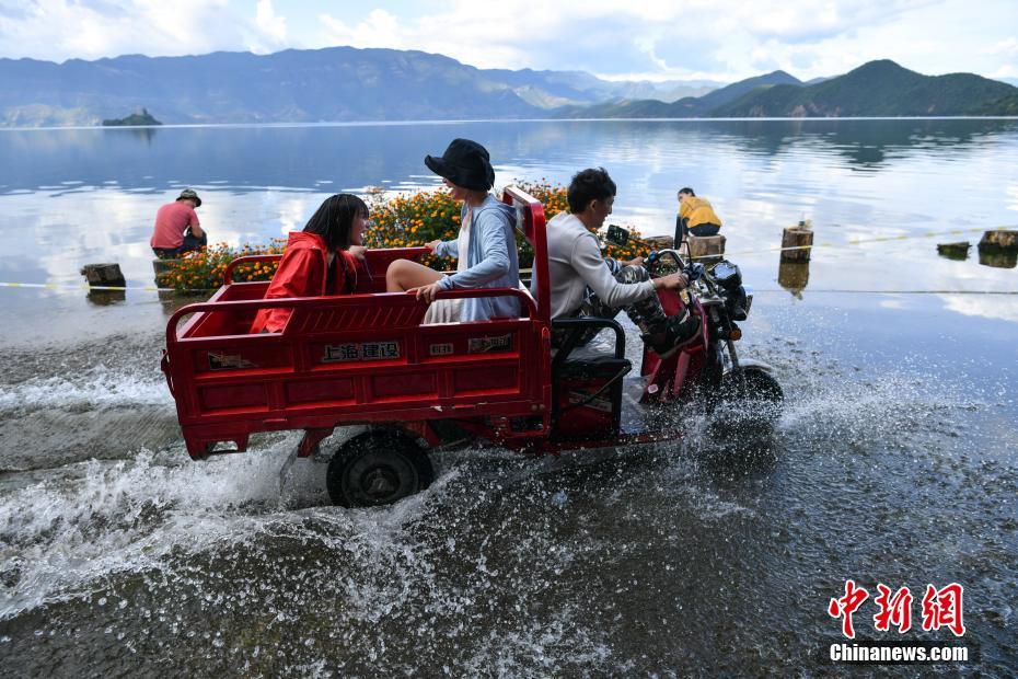 大地资源8在线影视免费观看